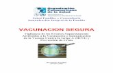 VACUNACION SEGURA · 2009-12-11 · Salud Familiar y Comunitaria . Inmunización Integral de la Familia . VACUNACION SEGURA. Vigilancia de los Eventos Supuestamente Atribuidos a la