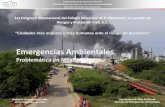 Emergencias AmbientalesDirección General de Inspección de Fuentes de Contaminación Dirección de Emergencias Ambientales La PROFEPA no tiene la atribución de participar en el control