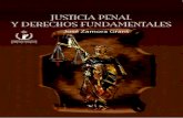 Justicia penal - CNDHappweb.cndh.org.mx/biblioteca/archivos/pdfs/Nov_7.pdf · Las instituciones que configuranlos sistemas de justicia penal no per- manecen ajenas a esta inercia;