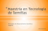 Principios de Mejoramiento Genético Vegetalagro.unc.edu.ar/~mejogeve/ClaseJulia.pdf · Principios de Mejoramiento Genético Vegetal * ... PROGRAMA DE MEJORA BIOTECNOLOGIA LABORATORIO