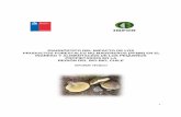 DIAGNÓSTICO DEL IMPACTO DE LOS PRODUCTOS FORESTALES … PFNM... · 2013-09-03 · 2 instituto forestal 2011 diagnÓstico del impacto de los productos forestales no madereros (pfnm)