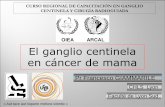 CURSO REGIONAL DE CAPACITACIÓN EN GANGLIO CENTINELA …€¦ · CURSO REGIONAL DE CAPACITACIÓN EN GANGLIO CENTINELA Y CIRUGÍA RADIOGUIADA El ganglio centinela en cáncer de mama.