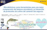 Presentación de PowerPointaquaexpoeloro.cna-ecuador.com/wp-content/uploads/2019/07/...Microbiómicas como herramientas para una mejor comprensión del balance microbiano y el desarrollo