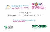 Nicaragua Progreso hacia las Metas Aichi. · nacional y de calidad • paz y seguridad ciudadana • seguridad social, gÉnero y no discriminaciÓn • preservaciÓn y promociÓn