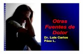 Otras Fuentes de Dolor - In-Endoin-endo.com/wp-content/uploads/2018/09/OTRAS... · dr_paez@yahoo.com Otras causas de dolor. Dr. Luis C. Páez Abordaje General •La endometriosis