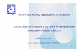 ENERGÍA PARA GRANDES CIUDADES La ciudad de México y su ...wecmex.org.mx/presentaciones/2009_Megaciudades_A.Humann.AM… · gustavo a. madero venustiano carranza miguel hidalgo azcapotzalco