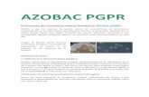Bacillus subtilis PGPR[1] 1 Growth Promoter Azobac PG… · AZOBAC PGPR Promotores de crecimiento vegetal basados en Bacillus subtilis. Debido a que las especies de bacilos tienen
