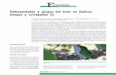 Enfermedades y plagas del kiwi en Galicia: hongos y ... · En el ámbito fitosanitario, ... tante patógeno del kiwi, el estudio de los hongos de madera ha sido una prioridad para