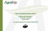 “Gira Ganadera Brasil 2013” - Tecnogiras · Este precio de la poción terrestre INCLUYE: • 10 noches de alojamiento en hoteles de calidad superior, en habitaciones DOBLE (2