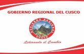GOBIERNO REGIONAL DEL CUSCOEn el 2021, el Cusco es una sociedad con una sólida identidad regional, sustentada ... C.H HACIENDA POTRERO 0.34 1 PRIVADO CONVENCION SANTA ANA QUILLABAMBA