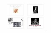 Fecundación y Desarrollo Embriológico - Webvisionretina.umh.es/.../Powerpoint/Fecundacion_Desarrollo.pdf4 En la pieza principal de la cola del espermio, cada par de microtúbulos