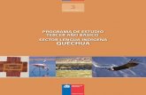 Programa de estudiopeib.mineduc.cl/.../04/201210041826030.ProgQuechua... · tes, educadores(as) tradicionales y la comunidad escolar en general, el programa de estudio de tercer año