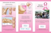 inspección manual (de pie) Cáncer de mama de-ma… · • Antecedentes y presencia de quistes o abultamientos en la mama • Antecedentes de cáncer de mama en abuela, madre, hermana,