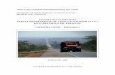 INFORME FINAL ( Resumen ) · marzo del 2000, cuando se entregó el Informe Final. 1) Mini-carreteras de Circunvalación La ruta existente para por las áreas edificadas de Ypacaraí,