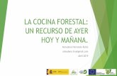 LA COCINA FORESTAL: UN RECURSO DE AYER HOY …...2019/04/06  · Índice 1. Productos forestales comestibles de origen vegetal Las plantas silvestres en la cocina Raíces Tallos Hojas