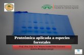 Proteómica aplicada a especies forestales · 2016-12-14 · RESULTADOS Las proteínas mayoritarias de la semilla del mbokaja, son proteínas de almacenamiento Las técnicas desarrolladas