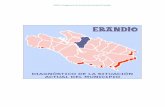 EBPN: Diagnóstico de la situación actual de Erandio · Empresas municipales que cuentan con plan de uso FOMENTO DEL EUSKERA 19 Medios de comunicación Presupuestos euskera (datos
