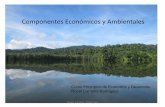 Componentes Económicos y Ambientales€¦ · •Ciencia que estudia la distribución y la abundancia de los organismos •En conclusión la ecología estudia a la naturaleza como