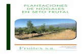 PLANTACIONES DE NOGALES EN SETO FRUTALfruitex.es/files/Plantacion Intensiva.pdf · 2017-09-23 · El cultivo del nogal evoluciona en los últimos años hacia formas mas intensivas.