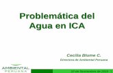 Problemática del Agua en ICA - IPEHipeh.com.pe/presentaciones/10-de-noviembre/3Cecilia... REALIDAD • Hay desbalance hídrico en Ica, donde siempre el agua fue un recurso escaso