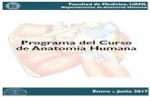 Programa del Curso de Anatomía Humana...Dr. med. David de la Fuente Villarreal Médico Cirujano y Partero con especialidad en Ginecología y Obstetricia, subespecialidad en Perinatología