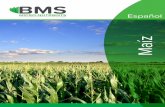 Arg Tec Zn Maiz Sp - BMS Micro-Nutrients Tec Zn Maiz Sp.pdf · con una aplicación de herbicidas) hasta 4 hojas (por vía foliar). La aplicación temprana asegura un buen arranque