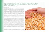 EL POTENCIAL DE MERCADO DE SEMILLAS MEJORADAS DE MAÍZ · Maíz (IMIC, por sus siglas en inglés) es un área priorita-ria del proyecto Modernización Sustentable de la Agri-cultura