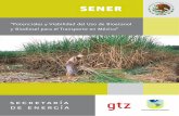Potenciales y Viabilidad del Uso de Bioetanol y Biodiesel ... · Potenciales y Viabilidad del Uso de Bioetanol y Biodiesel para el Transporte en México (SENER-BID-GTZ) Executive