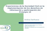 Experiencias de la Sociedad Civil en la implementación de ... · Consecuencias La información no llega a los directamente afectados, personas en situación de vulnerabilidad y grupos