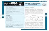 aniMaLes MaRinos venenosos · Zoología Marina del Programa de Biología de la Universidad del Magdalena, se realizó un trabajo de caracterización de los animales marinos venenosos