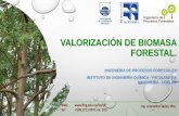 VALORIZACIÓN DE BIOMASA FORESTAL. · Biocombustibles a partir de biomasa forestal “Extracciónde hemicelulosas previo al pulpeo kraft, como material prima para la producción de