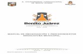 H. AYUNTAMIENTO CONSTITUCIONAL DE BENITO JUAREZ · MANUAL DE ORGANIZACIÓN DIRECCION DEL DEPORTE INTRODUCCION DEL DEPORTE Con el propósito de llevar a cabo un mejor funcionamiento,