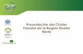 Presentación del Clúster Forestal de la Región Huetar Norte · 2019-08-30 · La madera importada, sustitutos y la madera de tala ilegal afectan la comercialización de madera