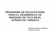 PROGRAMA DE SILVICULTURA PARA EL DESARROLLO DE BOSQUES DE ... · • El proyecto de plantación de bosques de madera teca es el proyecto central del Programa y consiste en lograr
