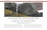 Amianto Prohibido pero presente - Argentina Ambientalargentinambiental.com/wp-content/uploads/pdf/AA52-06... · 2016-12-07 · Amianto Prohibido pero presente Lic. Esp. Marcelo G.