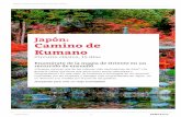 Japón: Camino de Kumanocdn.logitravel.com/contenidosShared/pdfcircuits/ES/... · ¿Has leído el best seller de Arthur Golden Memorias de una geisha? ¿Te emocionaste con la película