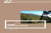 pinares endémicos canarios - Jolube · PinARes mediteRRáneos endémicos cAnARios. Esta ficha forma parte de la publicación Bases ecológicas preliminares para la conservación