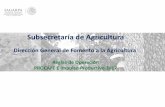 Subsecretaría de Agricultura · Carta de intención de compra de planta por parte de un cliente (solo aplica al concepto de infraestructura, equipamiento e insumos). 13. Formato