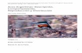 Aves Argentinas: Descripción, Comportamiento ......Acerbo, P. E. 1999. El Zorzal chiguanco (Turdus chiguanco) en las provincias de Neuquén y Río Negro, Argentina. Nuestras Aves