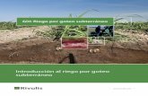 Introducción al riego por goteo subterráneo - es.rivulis.com...4 La manejo crítico de fertilizantes, insecticidas y fungicidas es una parte crítica (y costosa) de la gestión de