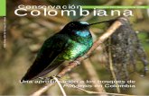 Conservación Colombiana - ::. Proaves .:: | Proaves · e interpretación detallados con el fin de corroborar y validar los resultados obtenidos. 1. Introducción. Los bosques de