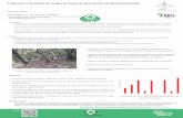 Producción y diversidad de hongos en masas de Quercus ilex ...7cfe.congresoforestal.es/sites/default/files/comunicaciones/68.pdf · Caracterizar las comunidades fúngicas que fructifican