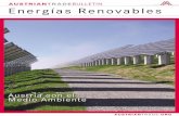 austriantradeBULLETIN Energías Renovables · para la innovación y el desarrollo de tecnologías renovables. De hecho, la industria de construcción y producción de instalaciones