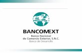 PROGRAMAS DE APOYO FINANCIERO AL COMERCIO EXTERIOR DE … · 2019-11-16 · El Banco Nacional de Comercio Exterior, S.N.C. (Bancomext) es una Institución de Banca de Desarrollo constituida