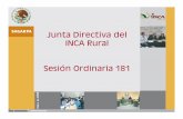 Junta Directiva del INCA Rural Sesión Ordinaria 181inca.gob.mx/transparencia/docs/09/enero/JD Informe 181.pdf · • Cursos, Talleres, días de campo, demostraciones en parcelas