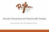 Comisión Diocesana de Pastoral Social Guadalajara ......Nuestro apostolado Esta vida cristiana se ha hecho presente de manera especial en las situaciones de crisis y dificultad, haciendo