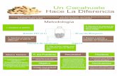 Un Cacahuate Hace La Diferenciaacmor.org.mx/cuamweb/reportescongreso/2017/cartel/Un Cacahuat… · El aire contaminado pasa por los macroporos de la cáscara del cacahuate, siendo