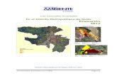 En el Distrito Metropolitano de Quito Evaluación 2012 · Los Incendios Forestales en el DMQ Página 5 Resumen ejecutivo La ola de incendios forestales que afectó al Distrito Metropolitano