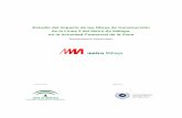 Diario Sur - Estudio del Impacto de las Obras de ...canales.diariosur.es/fijas/multimedia/informe.pdf7.2.- Directrices del Plan de Movilidad y Accesibilidad..... 50 Estudio del Impacto