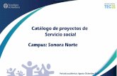 Catálogo de proyectos de Servicio social Campus: Sonora Norte · emprendimiento: 12 charlas-Apoyo en eventos y en el área de emprendimiento del Instituto-Diseño de innovaciones